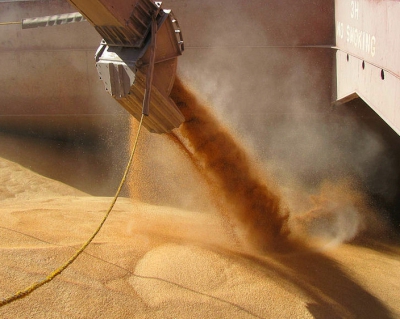 В сезоне-2015/16 Россия может стать крупнейшим в мире экспортером пшеницы