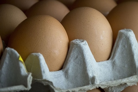 Ритейлеры сохраняют отрицательные наценки на куриные яйца