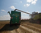 Сбор зерна должен составить по 115 млн тонн в год до 2020 года