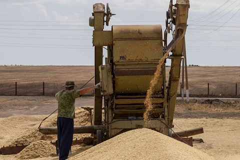 Минсельхоз повысил прогноз урожая зерна