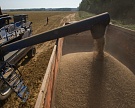 Мировые цены на пшеницу за неделю выросли