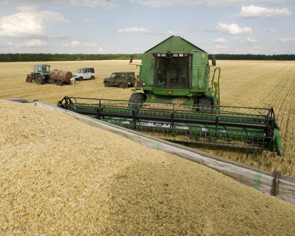 Продажи зерна за 5 месяцев выросли на 24%