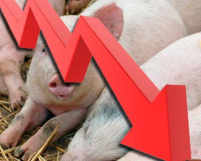 ЕК оценила потери от запрета на ввоз свинины в Россию в €580 млн