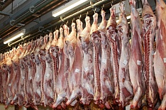 Минсельхоз: экспорт свинины в 2019 году превысит 100 тысяч тонн