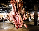 Мощности по убою скота и переработке мяса выросли в прошлом году на 550 тысяч тонн