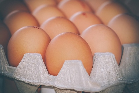 Птицефабрики предупредили о повышении отпускных цен на яйца