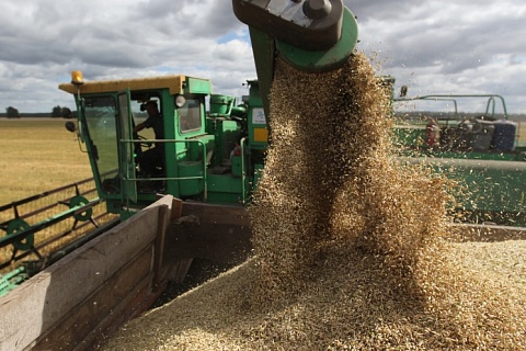 Экспорт зерна будет продолжаться в июне