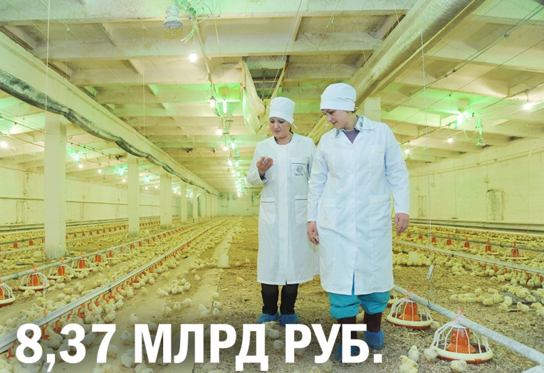«Акашево» построит птицекомплекс за 8,4 млрд руб.