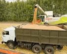 Минсельхоз просит Иран отменить запрет на ввоз пшеницы