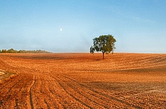 «Мираторг» покупает землю у чешского агрохолдинга
