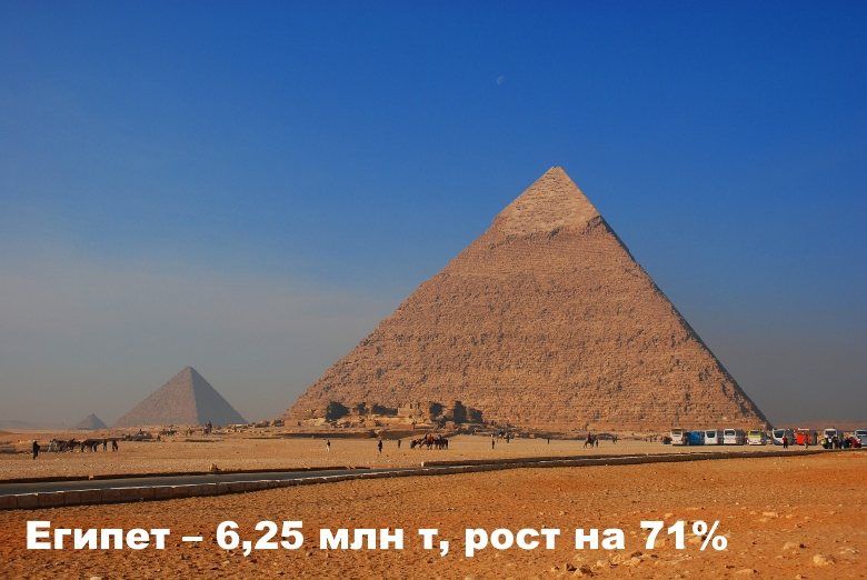 Египет — 6,25 млн т, рост на 71%