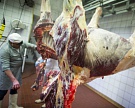 Мексика возобновит поставки мяса в Россию