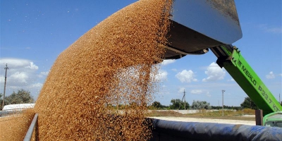 Экспорт зерна в августе достиг 4,5 млн тонн