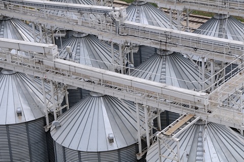 Государство закупило в госфонд 1 млн тонн зерна