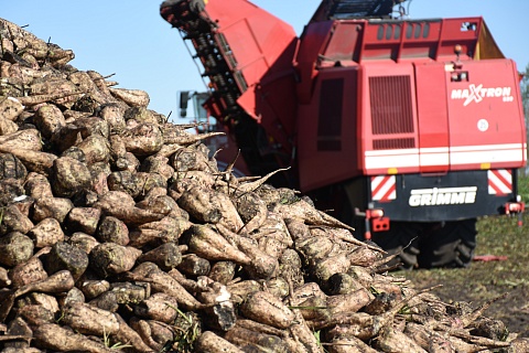«ЭкоНива» в сентябре запустит сахарный завод в Курской области