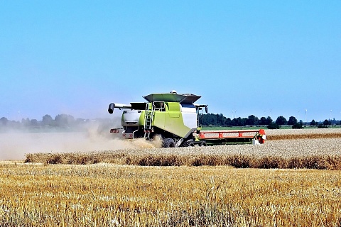 Минсельхоз: Россия может не достичь запланированного показателя по урожаю зерна