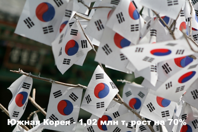 Южная Корея — 1,02 млн т, рост на 70