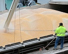 Россия в мае экспортировала 2,4 млн тонн зерна