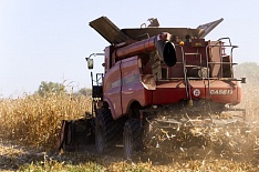 Минэкономразвития прогнозирует сокращение агропроизводства впервые с 2012 года
