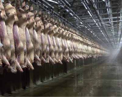 Импорт мяса по итогам 2016 года может сократиться до 820 тысяч тонн