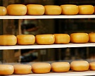 Владелец группы «Дело» инвестирует в производство сыров