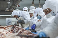 20 крупнейших компаний выпустили 2,7 млн тонн свинины