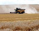 МСХ скорректировал прогноз урожая зерна до 80?85 млн т