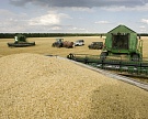 Сбор зерна достиг 109,8 млн тонн, пшеницы — 74,2 млн тонн