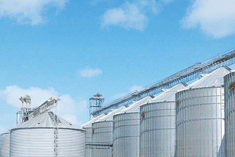 В 2022 году Россия может закупить до 3 млн тонн зерна в госфонд