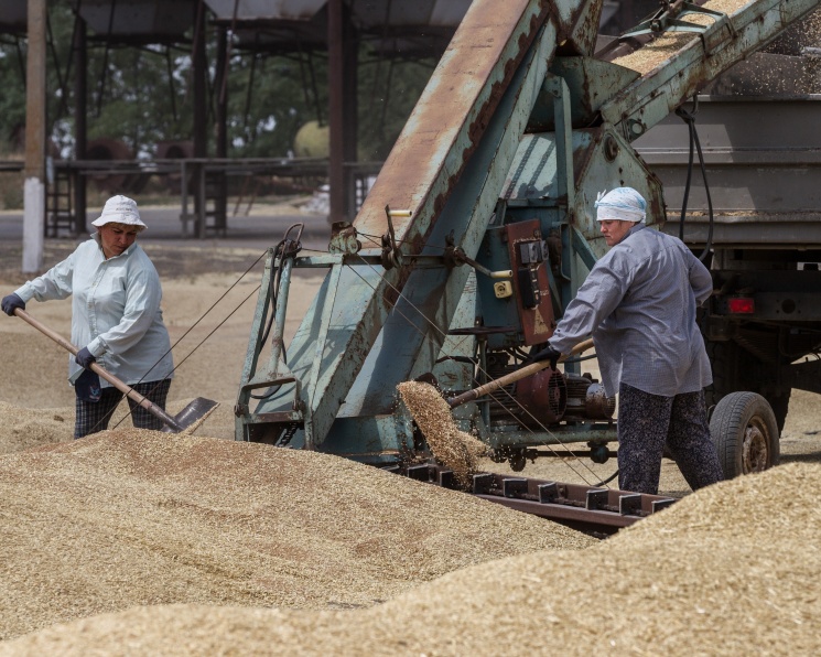 На смерть зерновых интервенций: понятные правила игры важнее господдержки‌