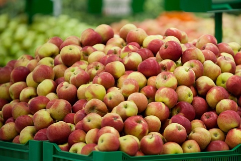 Компания участницы списка Forbes запустит фруктохранилище на 14 тысяч тонн яблок
