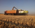 На Украине ожидается 14%-ное падение урожая зерновых