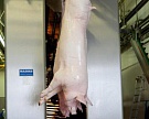 Определены 20 крупнейших производителей свинины в России
