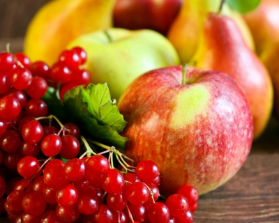 Ингушетия намерена увеличить производство фруктов и ягод в 20 раз