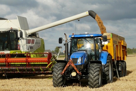 Урожай зерна на Ставрополье может снизиться на 30%