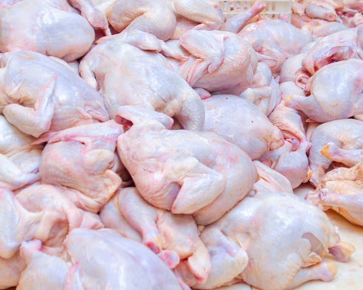 Производство мяса птицы восстанавливается