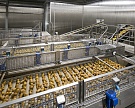 Рынок картофеля фри прибавляет по 2% в год