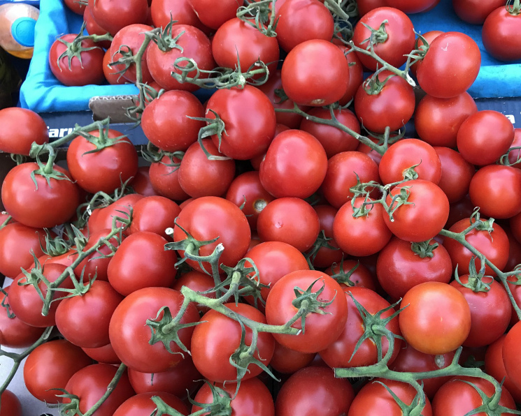 В 2016 году Россия импортировало томатов почти на $0,5 млрд