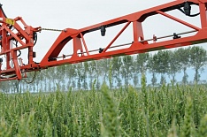 «Россельхозцентр» заявил о снижении применения пестицидов в 2018 году