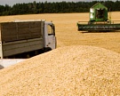 Обсуждать ограничения по экспорту зерновых преждевременно