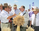 Алтайские фермеры объединили усилия