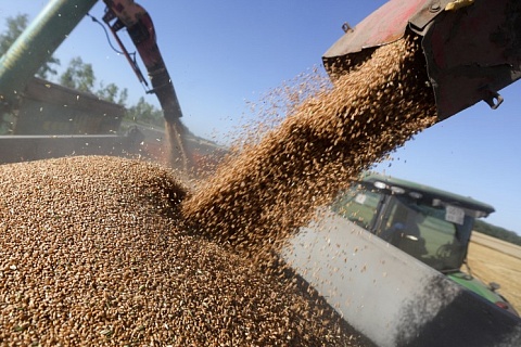 Россия предложила ограничить экспорт зерна всем странам ЕАЭС