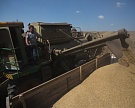 На юге России растут остатки зерна