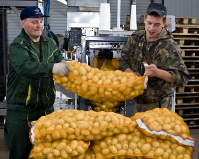 «АФГ Националь» вложит 7,4 млрд рублей в картофельный бизнес