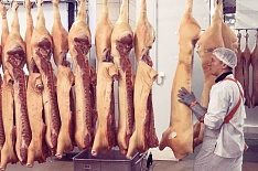 «Русагро» может купить белгородского производителя мраморной свинины