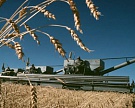 В 2008 г сельхозпроизводство выросло на 10,8%