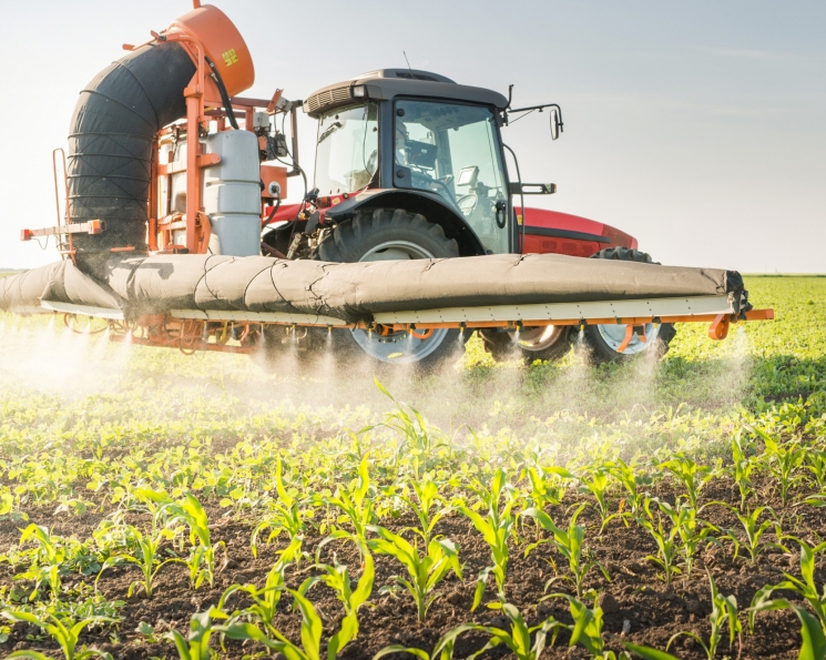 Защитить зерновые. Экспертный анализ российского рынка средств защиты