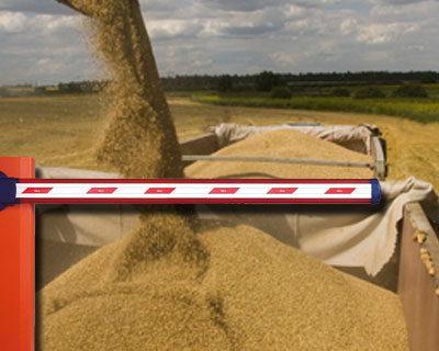 Ограничения экспорта зерна могут вытеснить Россию с мировых рынков