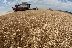 Росстат повысил урожай зерна в 2017 году на 100 тысяч тонн
