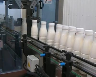В Алтайском крае вырастет выпуск молока